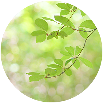 泌尿器の性感染症からがん治療まで